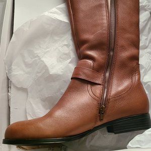 Ann Taylor boots